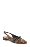 Dolce Vita Payge Pointed Toe Slingback Pump In Leopard Suede