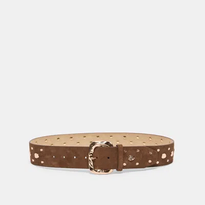 Dolce Vita Rectangle Buckle Studded Belt In Brown Size Medium/large By