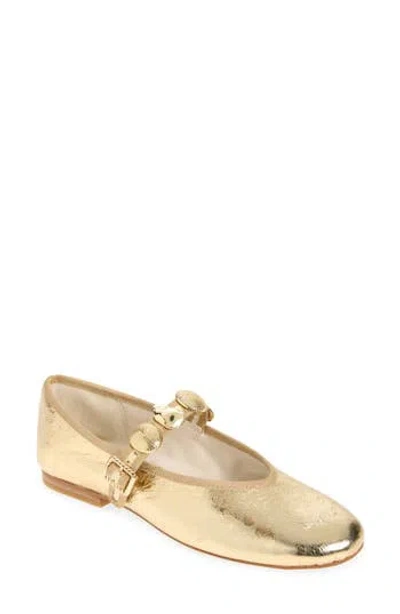 Dolce Vita Relan Mary Jane Ballet Flat In Multi