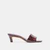 Dolce Vita Rexa Kitten Heel Slide Sandal In Brown
