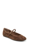 Dolce Vita Reyes Mary Jane In Brown