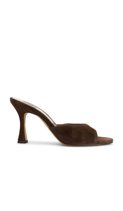 Dolce Vita Rosha Sandal In Dark Brown