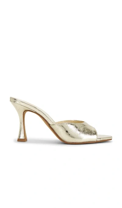 Dolce Vita Rosha Sandal In Platinum