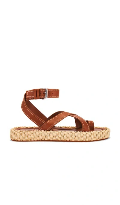 Dolce Vita Roxie Sandal In 棕色