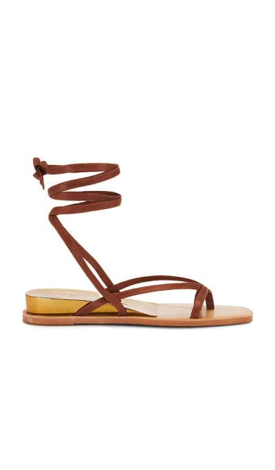 Dolce Vita Rudie Sandal In 干邑白兰地色