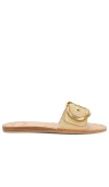 Dolce Vita Danna Slide Sandal In Neutral