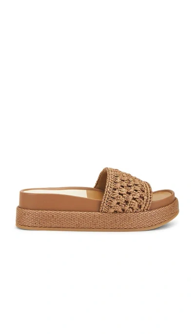 Dolce Vita Sidona Sandal In Brown