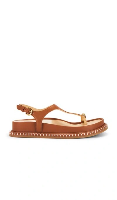 Dolce Vita Stefan Gemstone Sandal In Caramel Suede