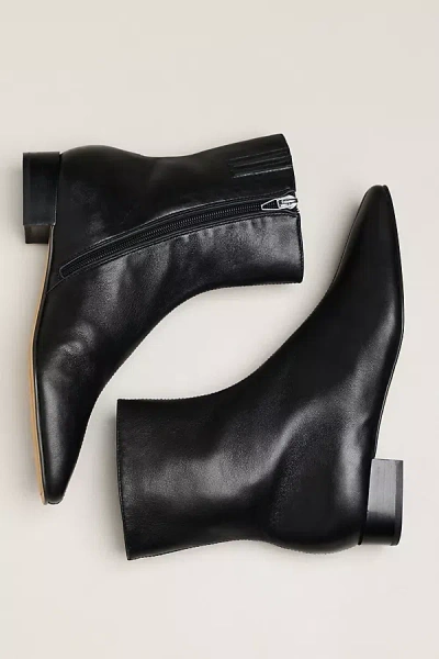 Dolce Vita Tarine Ankle Booties In Black