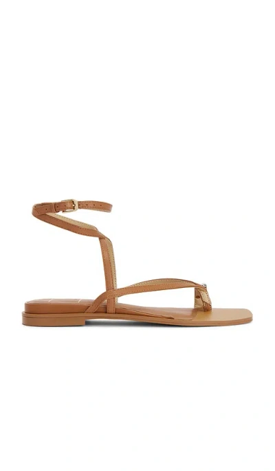 Dolce Vita Tyrice Sandal In Brown