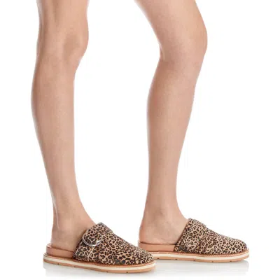 Dolce Vita Verna Womens Padded Insole Mules In Multi