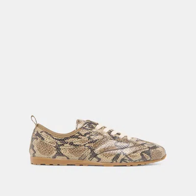 Dolce Vita Viper Sneakers Snake Print Embossed Leather In Multi