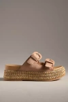 Dolce Vita Witny Buckled Platform Slide Sandals In Brown