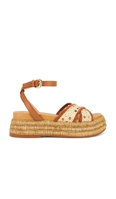 DOLCE VITA WRILEY SANDAL