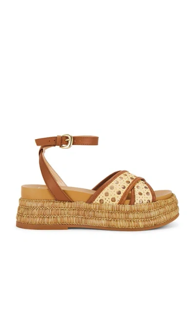 Dolce Vita Wriley Sandal In Saddle Woven Raffia