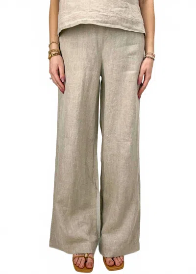 Dolcezza Carla Wide Leg Pants In Tan In Neutral