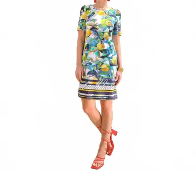 Dolcezza 'orangerie' Printed Dress In Multi