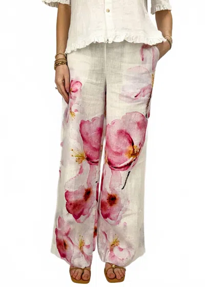 Dolcezza Poppy Floral Pants In White In Multi