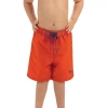 Dolfin Little Boys Quick Dry Swim Shorts In Orange
