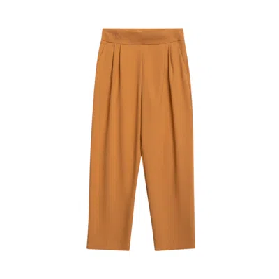Dolores Promesas Women's Brown Pleated Pants Aimée