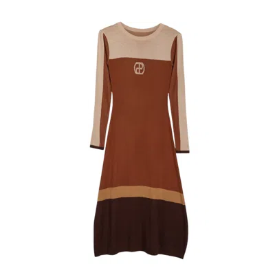 Dolores Promesas Women's Jimena Color Block Midi Dress In Beige/brown