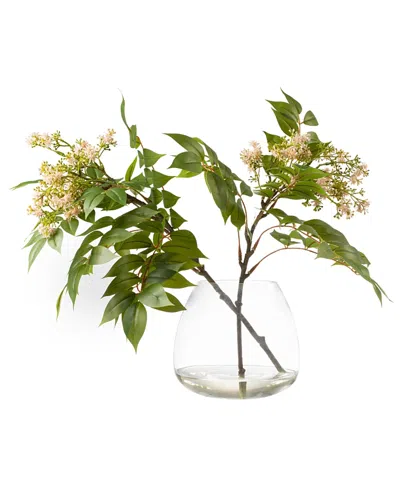 Domani Home Baby Bloom In Glass Vase In Pink