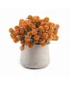 Domani Home Berries In Patt Pot In Orange