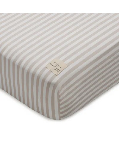 Domani Home Block Stripe Crib Sheet Fitted, Standard In Gray