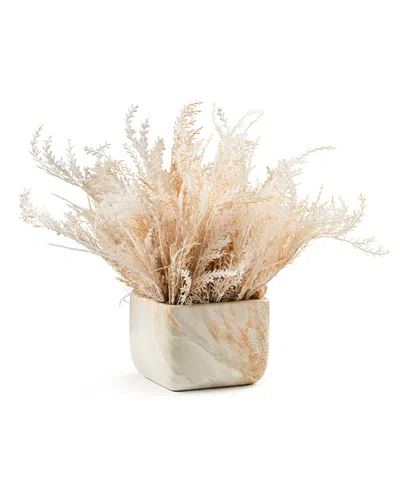 Domani Home Whispy Pampas In Marble Pot In Neutral