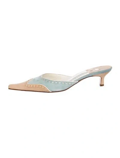 Pre-owned Domenico Vacca Suede Mules In Blue