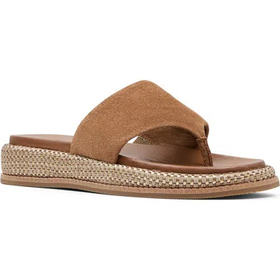 Donald Pliner Aneetas Flip Flop In Saddle