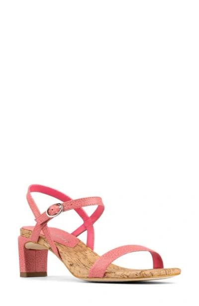 Donald Pliner Brazi Ankle Strap Sandal In Pink