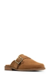 Donald Pliner Buckle Mule