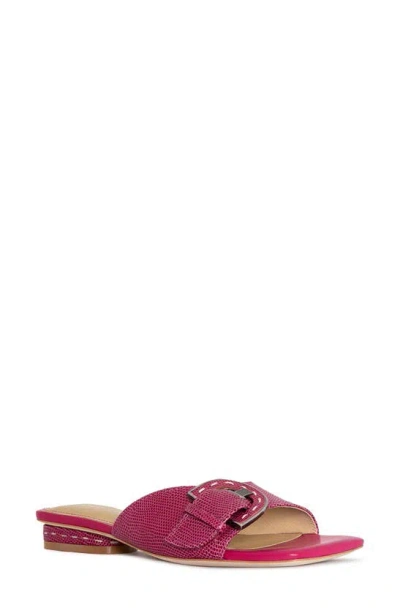 Donald Pliner Women's Slip On Buckled Slide Sandals In Magenta