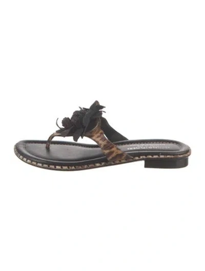 Pre-owned Donald Pliner Canvas Animal Print Flip Flops In Multicolor