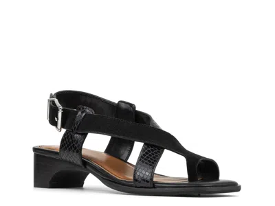 Donald Pliner Charita Toe Loop Sandal In Black