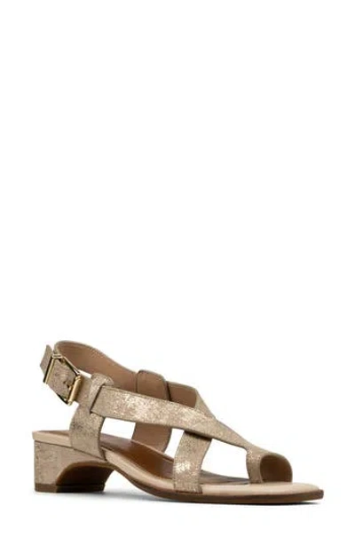 Donald Pliner Charita Leather Sandal In Gray