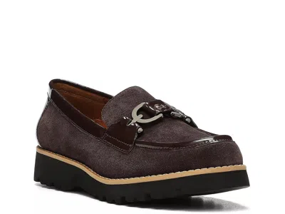 Donald Pliner Clio Loafer In Brown