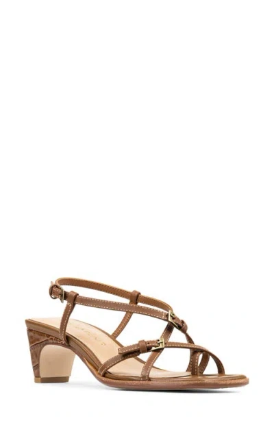 Donald Pliner Daffney Strappy Sandal In Brown