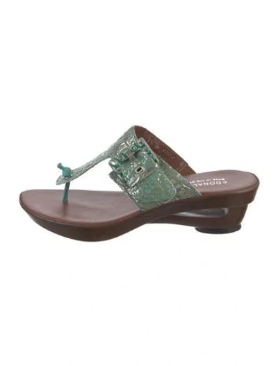 Pre-owned Donald Pliner Donald J Pliner T-strap Sandals In Green