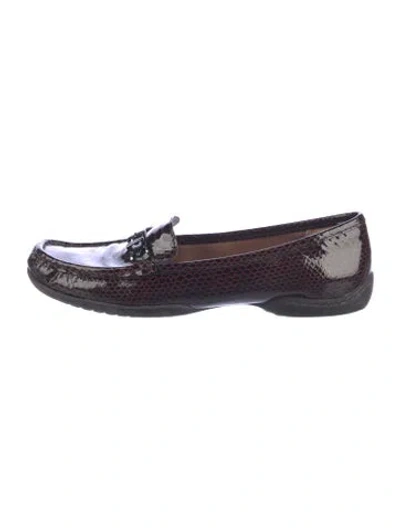 Pre-owned Donald Pliner Embossed Leather Animal Print Loafers In Multicolor