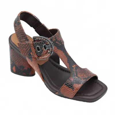 Donald Pliner Erin Slingback Sandal In Chestnut Python In Multi