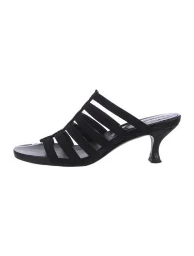 Pre-owned Donald Pliner Gladiator Sandals In Black