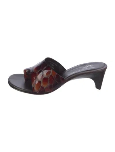 Pre-owned Donald Pliner Leather Animal Print Sandals In Brown
