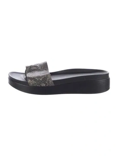 Pre-owned Donald Pliner Leather Animal Print Slides In Blue