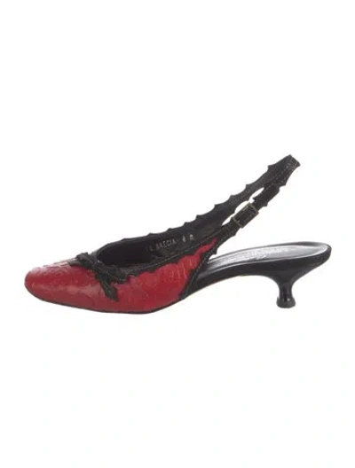 Pre-owned Donald Pliner Leather Floral Print Slingback Pumps In Red