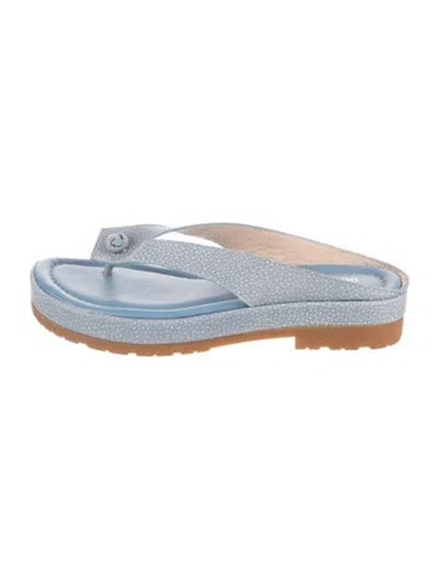 Pre-owned Donald Pliner Leather Printed Sandals In Blue