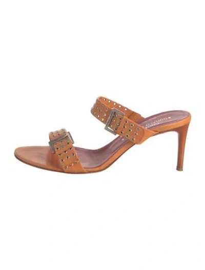 Pre-owned Donald Pliner Leather Sandals In Multicolor