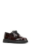 Donald Pliner Leonardo Cap Toe Derby In Burgundy