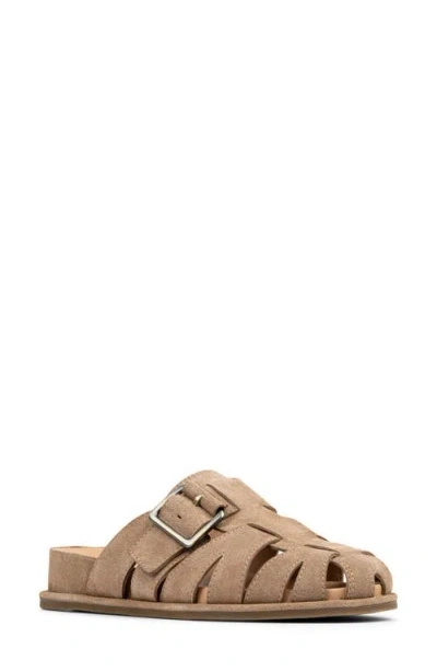 Donald Pliner Manor Fisherman Clog In Brown